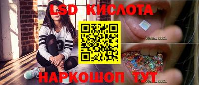 крисы Будённовск