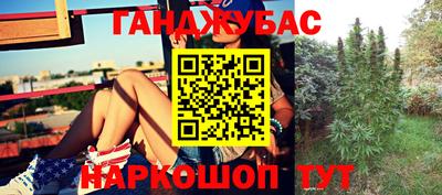 шишки Железноводск