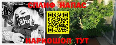 крисы Будённовск