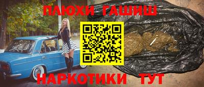 индика Ефремов