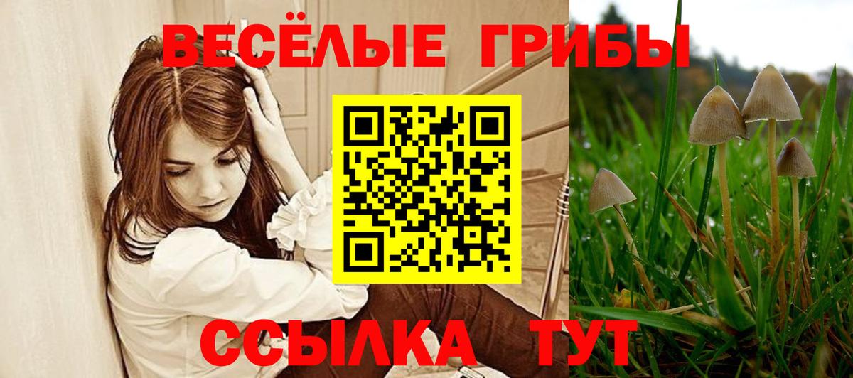 Псилоцибиновые грибы мицелий  Вход с VPN  Кувандык 
